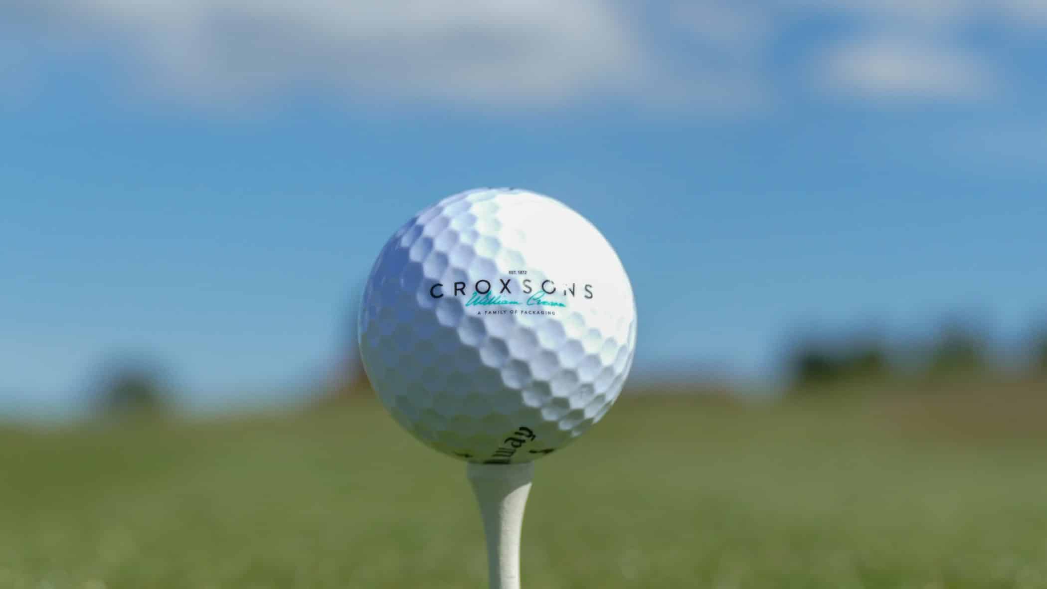 A white golf ball on a tee with a sunny golf course background.
