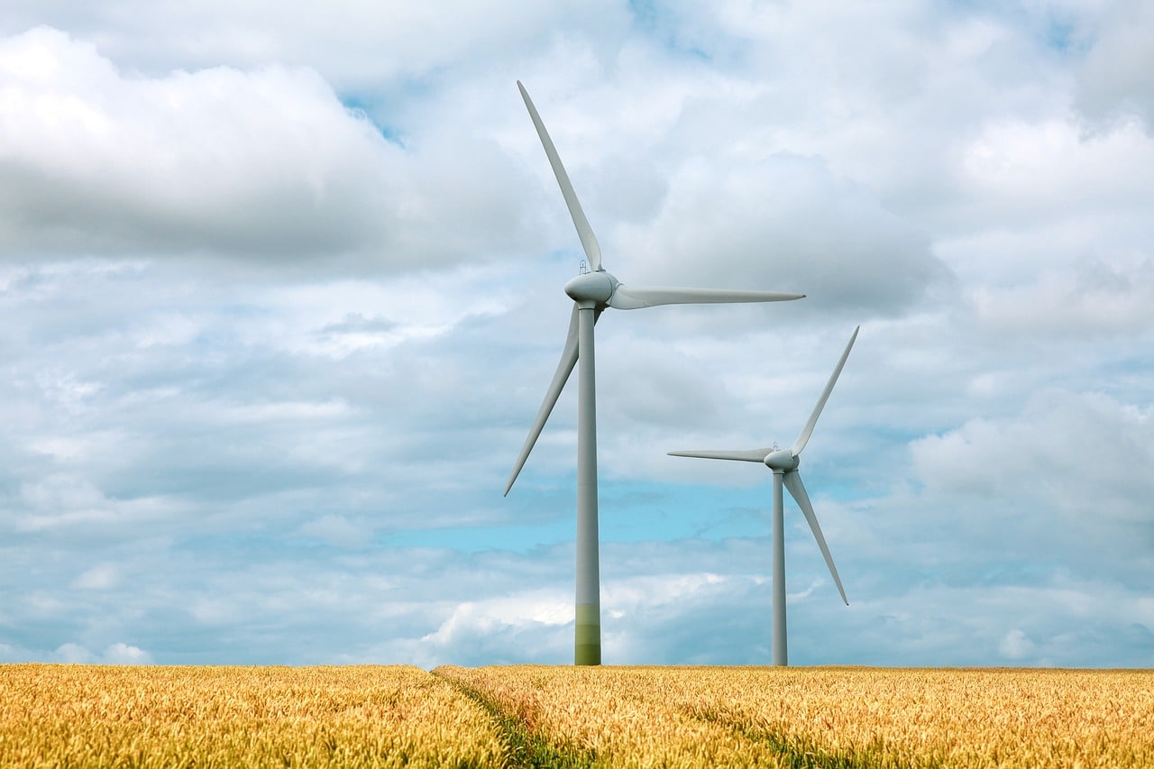 Two wind turbines in a field.